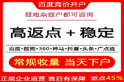 行业案例研究：SEM竞价托管的策略与挑战